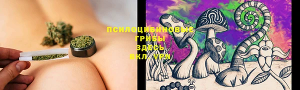2c-b Зерноград