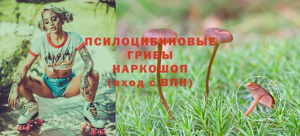 гидропоника Зеленодольск